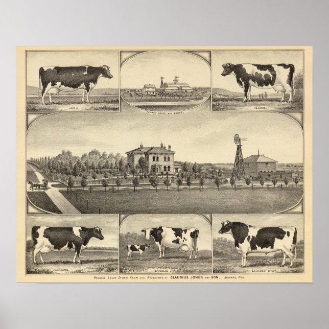 Prairie Lawn Farm, Nebraska Poster (Front)