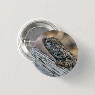 Prairie Lizard 3 Cm Round Badge