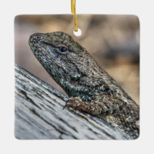 Prairie Lizard Ceramic Ornament