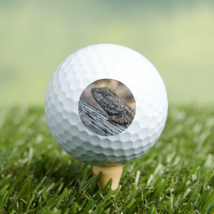 Prairie Lizard Golf Balls