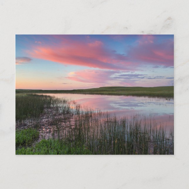Prairie Pond Reflects Brilliant Sunrise Clouds Postcard (Front)
