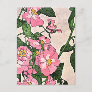 Prairie Rose, pretty floral illustration, Postcard