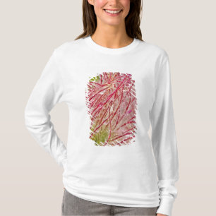 Prairie Smoke in the rain at Theodore T-Shirt