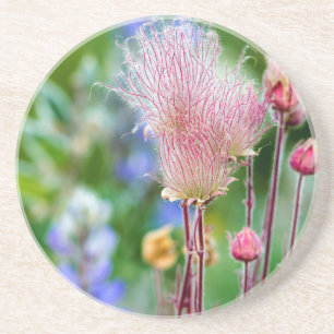 Prairie Smoke Wildflowers In Aspen Grove 2 Coaster