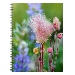 Prairie Smoke Wildflowers In Aspen Grove 2 Notebook
