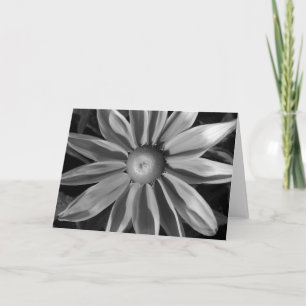 Prairie Sun Rudbeckia B&W Card