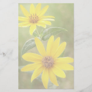 Prairie Sunflower - Helianthus maximilianii Stationery