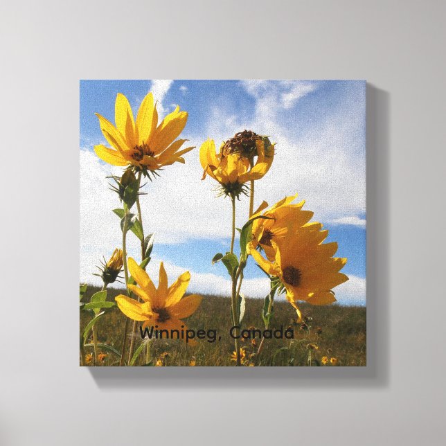 Prairie Sunset  Canvas Print (Front)