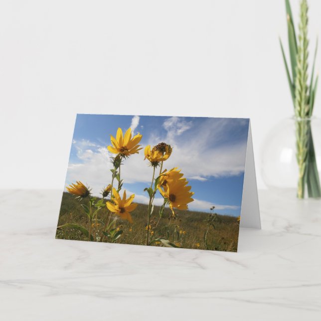 Prairie Sunset Greeting Card (Front)