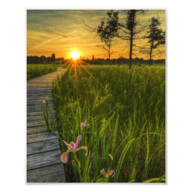 Prairie Sunset Photo Print (Front)