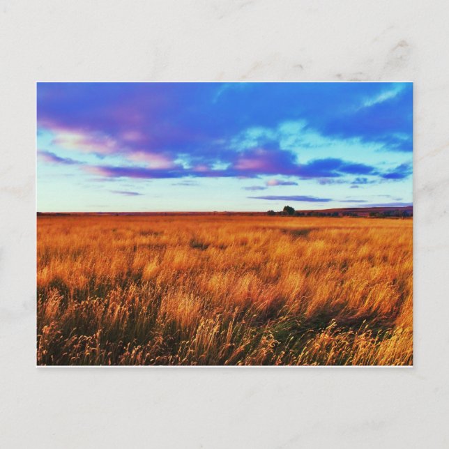 Prairie Sunset Postcard (Front)