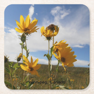 Prairie Sunset square paper coaster