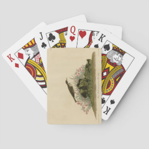 Prairie Titlark (Pipit) Audubon's Birds of America Playing Cards
