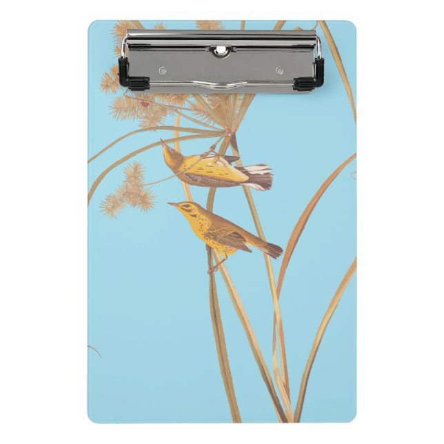 Prairie Warbler Audubon Yellow Bird Mini Clipboard (Front)