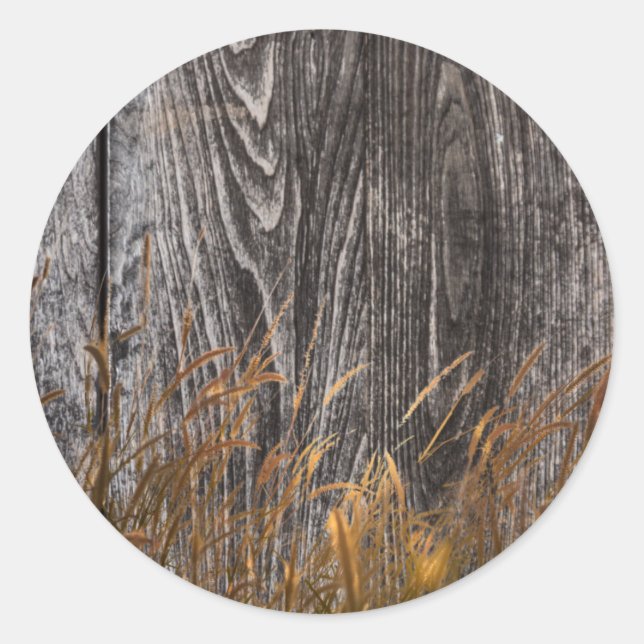 Prairie Wheat On Barn Board Classic Round Sticker (Front)
