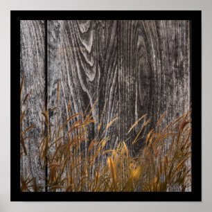 Prairie Wheat On Barn Board Poster