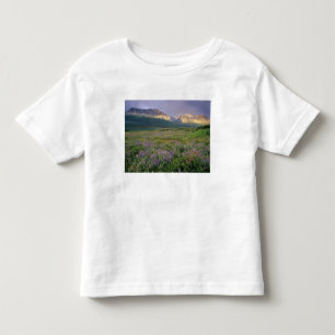 Prairie wildflowers along Lake Sherbourne in the Toddler T-Shirt