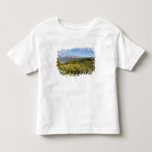 Prairie wildflowers and Lower Two Medicine Lake Toddler T-Shirt