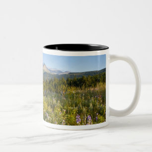 Prairie wildflowers and Lower Two Medicine Lake Two-Tone Coffee Mug