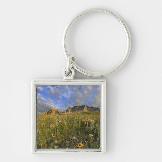 Prairie Wildflowers at Windy Creek in the Many Key Ring (Front)