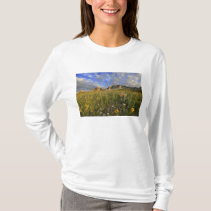 Prairie Wildflowers at Windy Creek in the Many T-Shirt