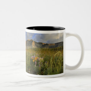 Prairie Wildflowers at Windy Creek in the Many Two-Tone Coffee Mug