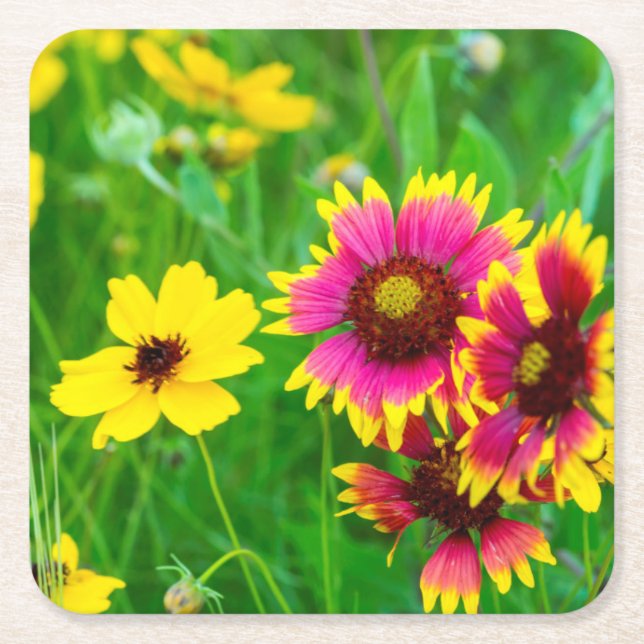Prairie wildflowers in Hill Country Square Paper Coaster (Front)