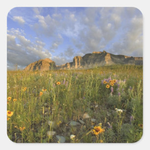 Prairie Wildflowers in Many Glacier Valley at Square Sticker