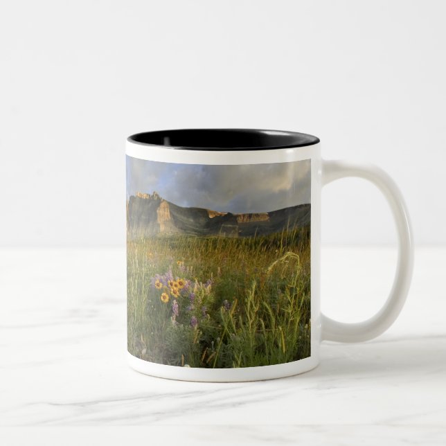 Prairie Wildflowers in Many Glacier Valley at Two-Tone Coffee Mug (Right)