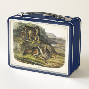 Prairie Wolf (Coyote) from Audubon's Quadrupeds Metal Lunch Box