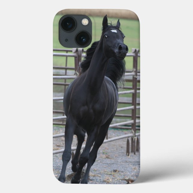 Prancing Black Arabian Case-Mate iPhone Case (Back)