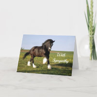 Prancing Clydesdale Sympathy