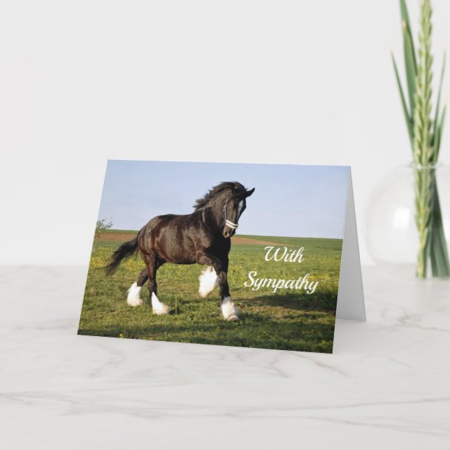 Prancing Clydesdale Sympathy Card (Front)