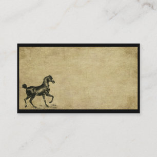 Prancing Horse- Prim Biz Cards