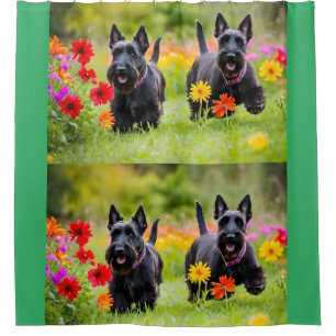 Prancing Scottish Terriers in grass and flowers Shower Curtain