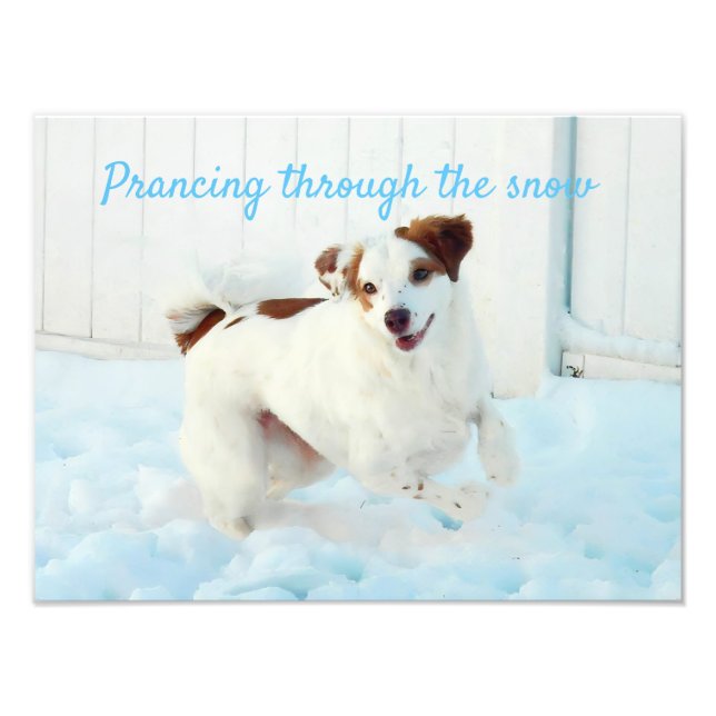 Prancing Through The Snow Photo Enlargement (Front)