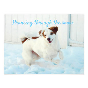 Prancing Through The Snow Photo Enlargement Print