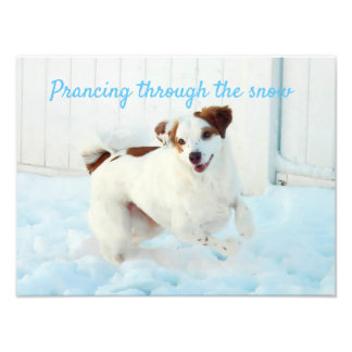 Prancing Through The Snow Photo Enlargement Print