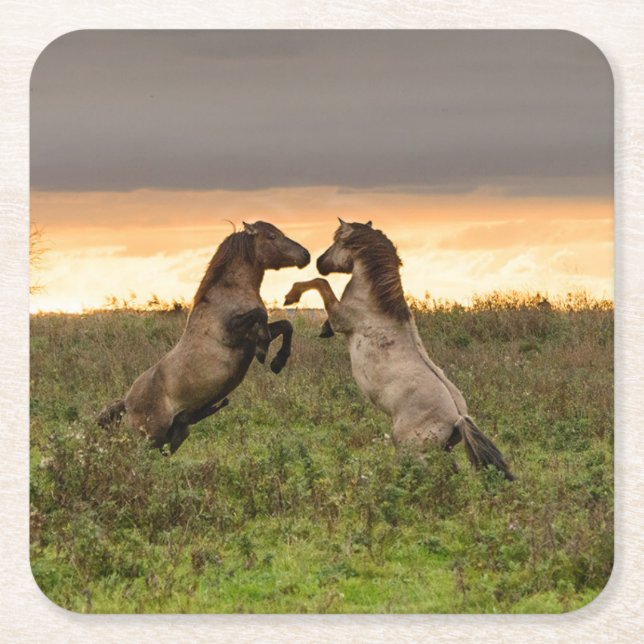 Prancing wild horses coaster (Front)