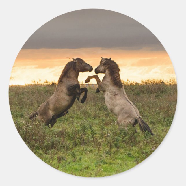 Prancing wild horses round sticker (Front)