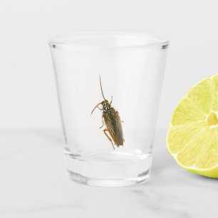 Prank cockroach shot glass
