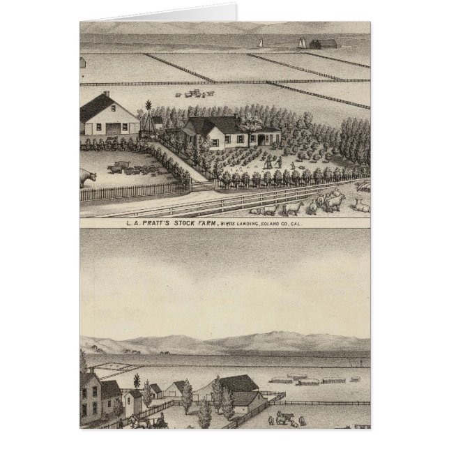 Pratt, Stewart farms (Front)