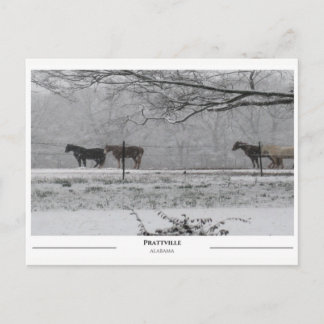 Prattville Alabama Postcard