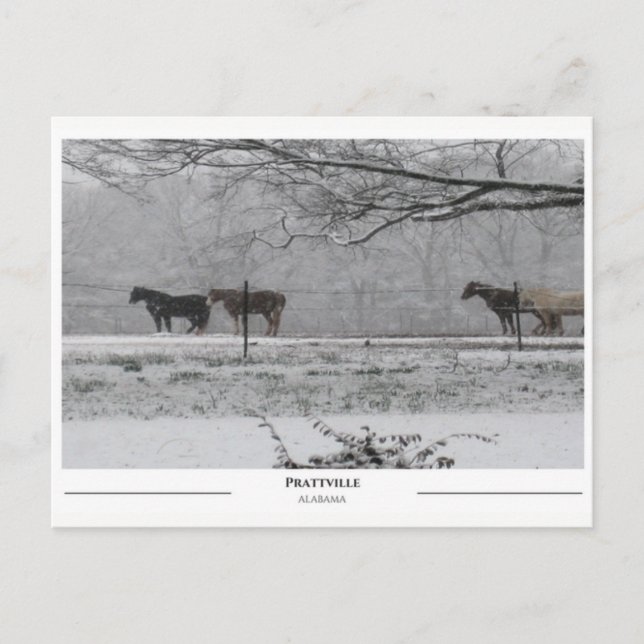 Prattville Alabama Postcard (Front)