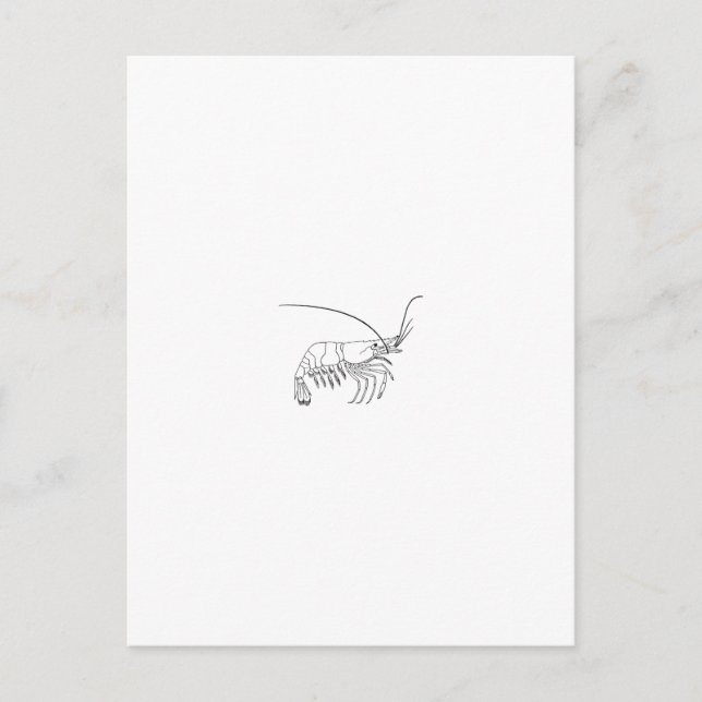 Prawn Logo Postcard (Front)