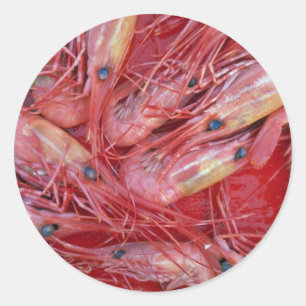 Prawns of British Columbia, Canada texture Classic Round Sticker