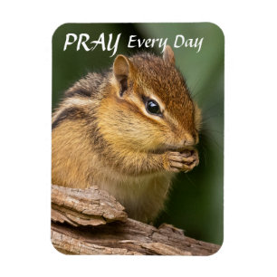 Pray Every Day Chipmunk Magnet