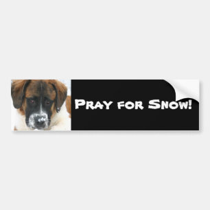 Pray for Snow! Bumper Sticker