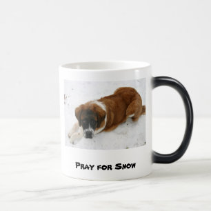 Pray for Snow Mug