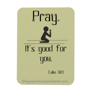Pray it's good for you magnet
